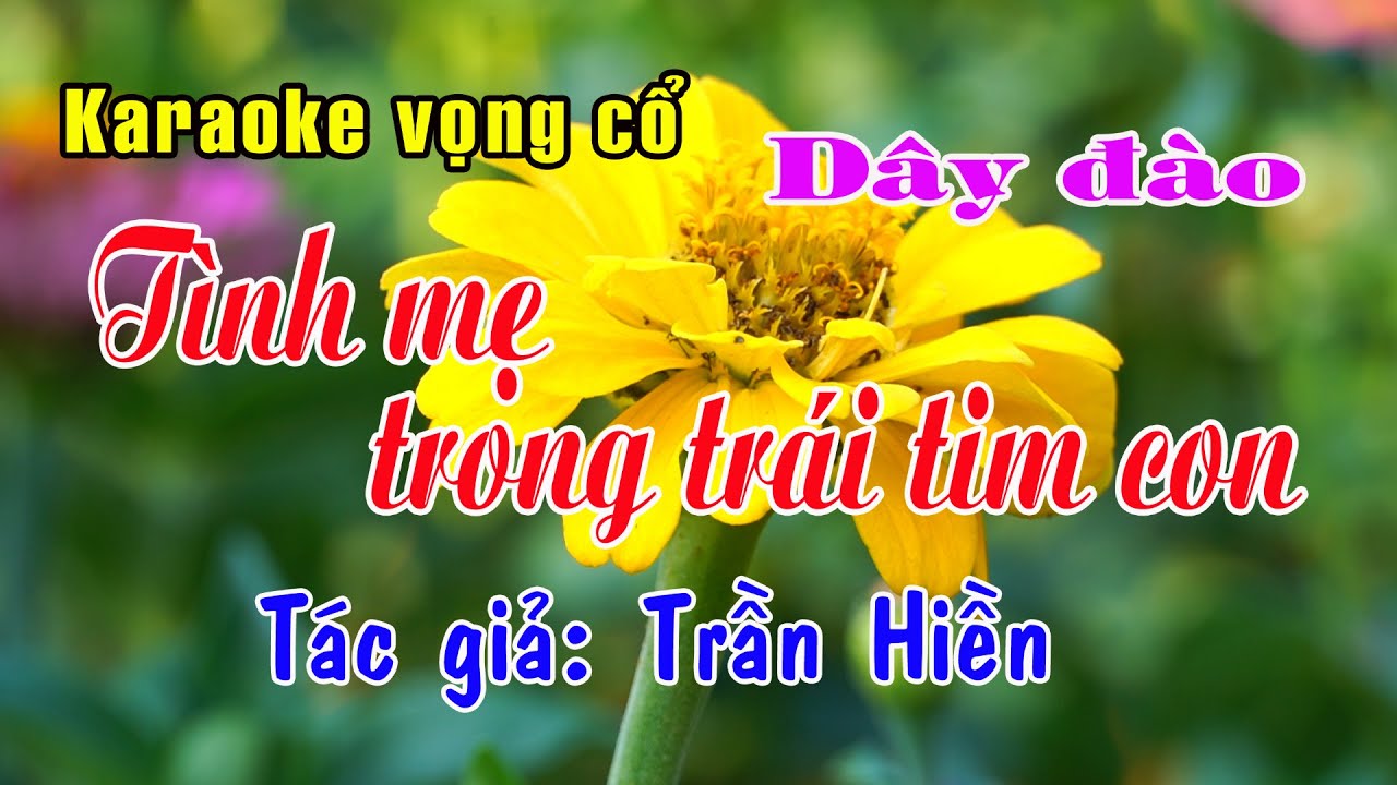 Karaoke vọng cổ TÌNH MẸ TRONG TRÁI TIM CON - DÂY ĐÀO [Tác giả Trần Hiền]