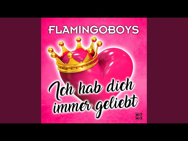 Flamingoboys - Ich hab dich immer geliebt