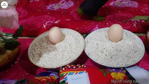 Lễ  trao khăn piêu Người Thái đen Sông Mã [ Lò Hải - Quàng Thu || Người Vùng Cao TV