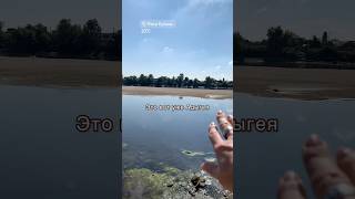 02.10.2025. Река Кубань, Юбилейный. Краснодар. Смотри описание) #авторскоевидео #shorts #РекаКубань