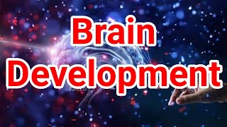 Stages of Little One's Brain Development | Tahap Perkembangan Otak Si Kecil hingga Ia Dewasa