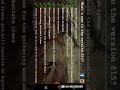 Day r survival new update