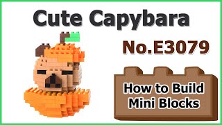 How to Build Mini Blocks Capybara E3079 Review Instructions Specifications