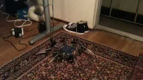 Hexapod motion test video 1
