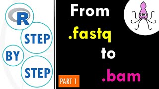 Quality check on sequencing reads | NGS read preprocessing in R (Part 1)