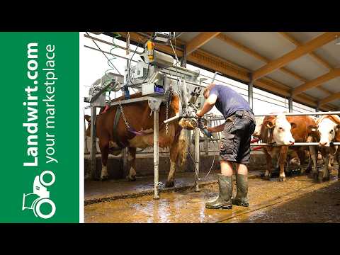 Speedfix: Klauenpflege direkt am Fressgitter | landwirt.com