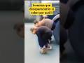 Inventos de los Años 1930 que an desaparecido 😱sin saber por qué!!! #viral #shorts #entretenido