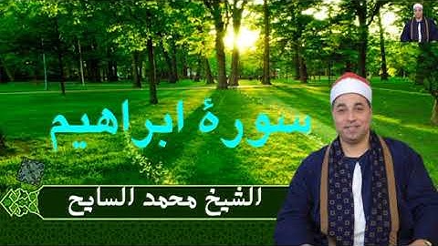 تلاوة بها سكينة وراحة لا توصف للشيخ محمد السايح سجلت هذة التلاوة بتاريخ 12-1-2023 #اكسبلور #دويتو