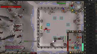 300 kc Vardorvis Pet live reaction