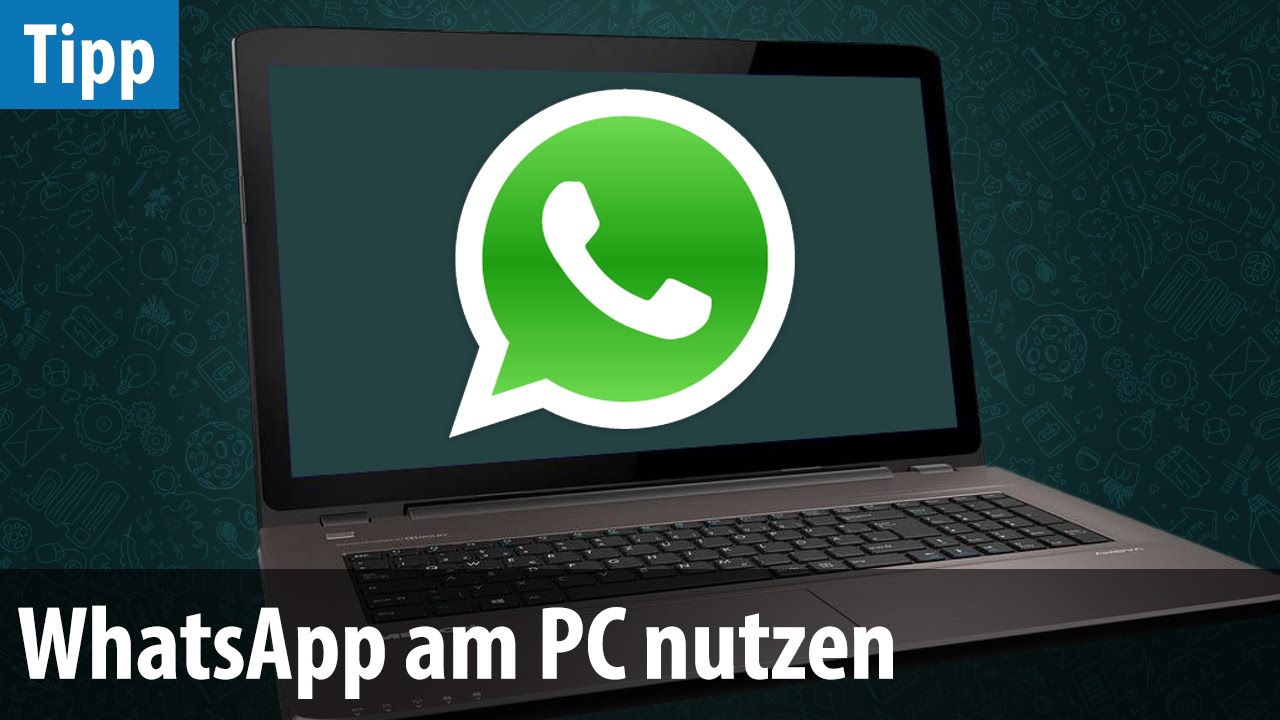 Video whatsapp pc