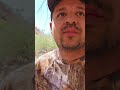 ¡Atrapamos Dos Palomas con Alas Blancas! ¡Sorprendente Captura! #shorts