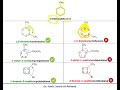       cycloalkane  naming of cycloalkane