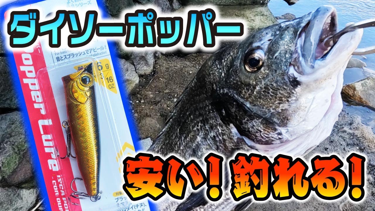 ダイソーポッパー優秀！水面爆発の釣行