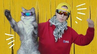 Британская кошка и её хозяйка читают рэп! Брит-хоп! ))))
