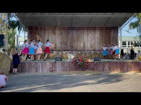 Festival Mravenec 2021 - Rusínsky