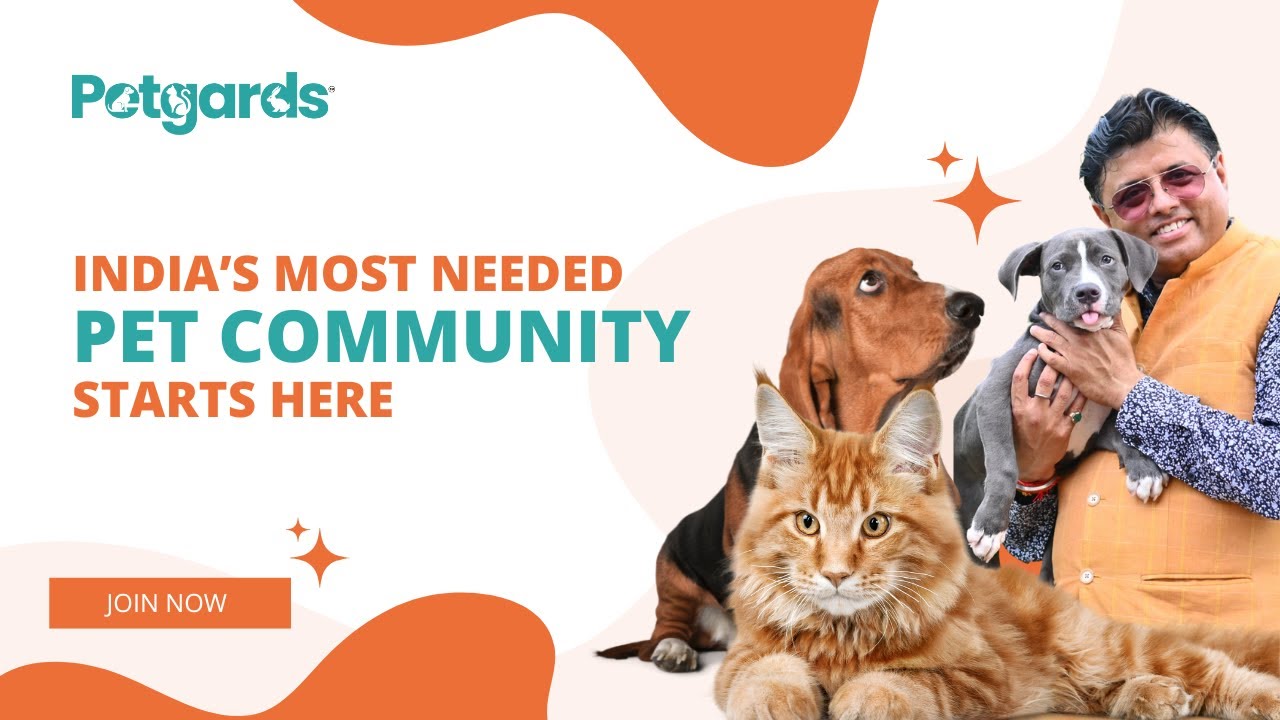 The Story of Petgards | India’s Most Trusted Pet Care Community Begins Here
