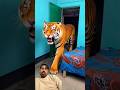 You Won’t Believe Why They Ran 😳🐯😱😂.