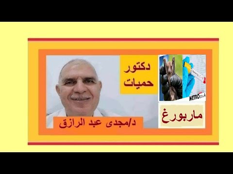 Видео: Заразеното повръщане и бъбреците от диария, които преобладават Великобритания - това, което трябва да знаете