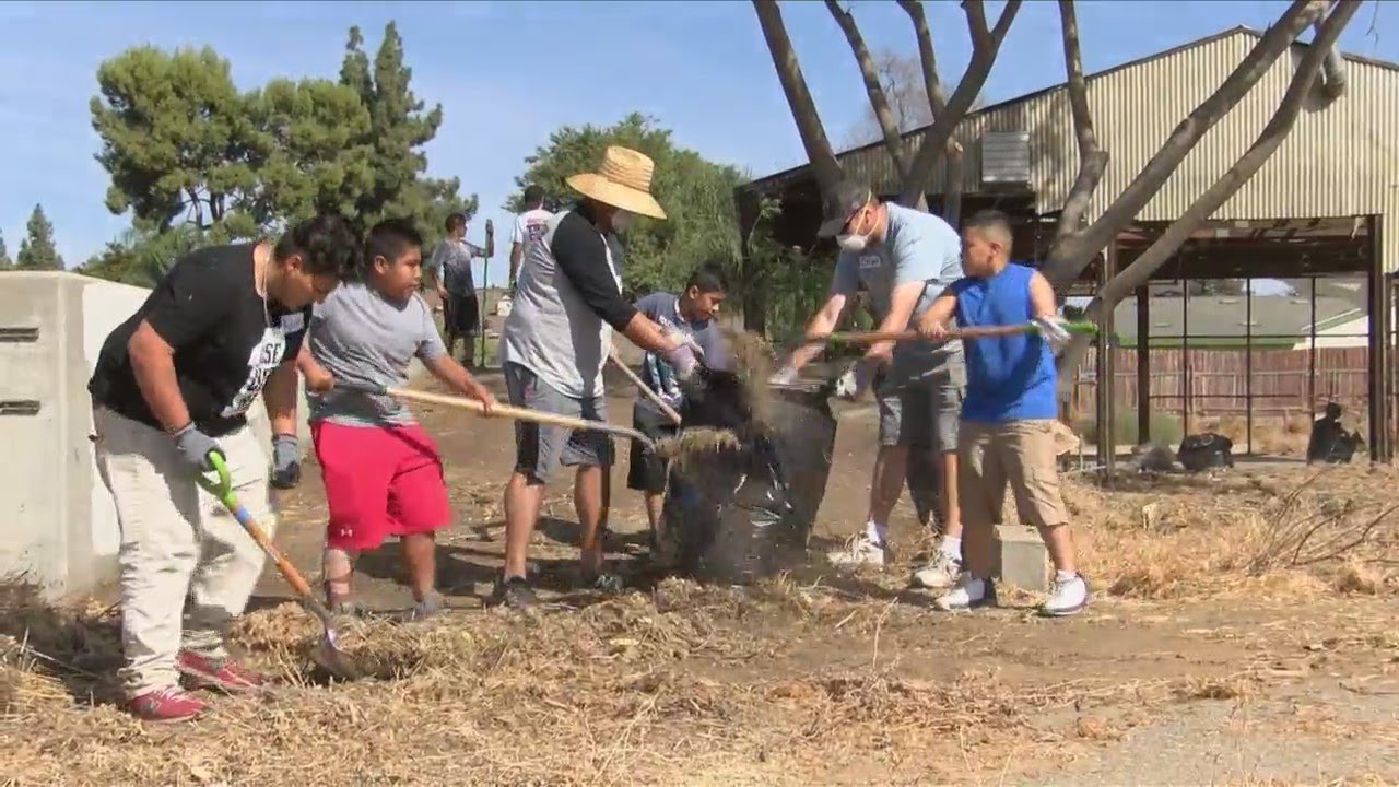 Community Action Day