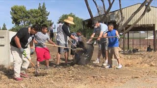 Community Action Day