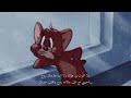 فاكر لما تقولي هسينك فضل شاكر توم وجيري حالات واتس