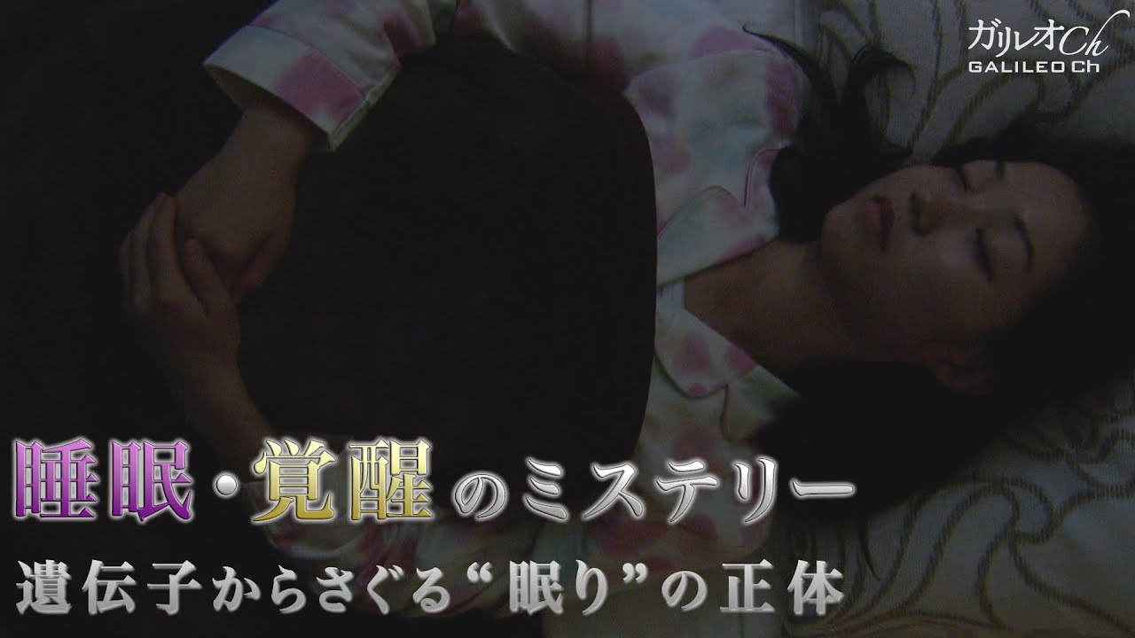 【なぜ眠くなるのか？】睡眠・覚醒のミステリー　遺伝子からさぐる“眠り”の正体 | ガリレオX第77回
