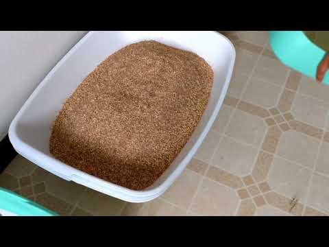 luuup-litter-box-tested-with-3-kinds-of-cat-litter