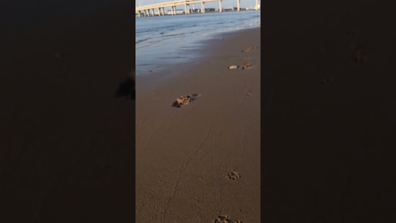 питерское "море" 