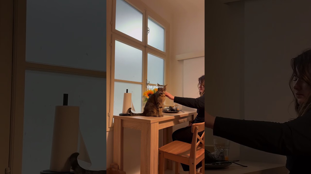 gemütliche Momente in Wien zu genießen. 