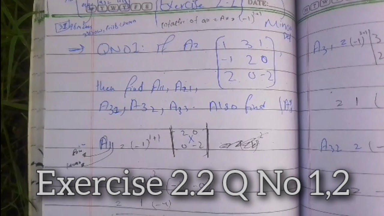 Exercise 2.1 Q No 1, 2 | Today New Video - YouTube
