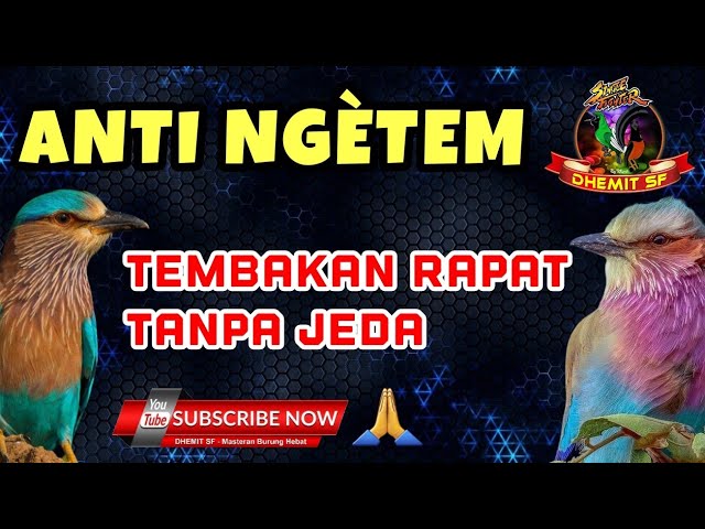 Anti Ngetem ❗️MASTERAN Tembakan Rapat Tanpa Jeda class=