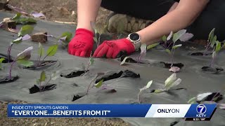 Non-Profit City Sprouts connects Omaha through fresh food