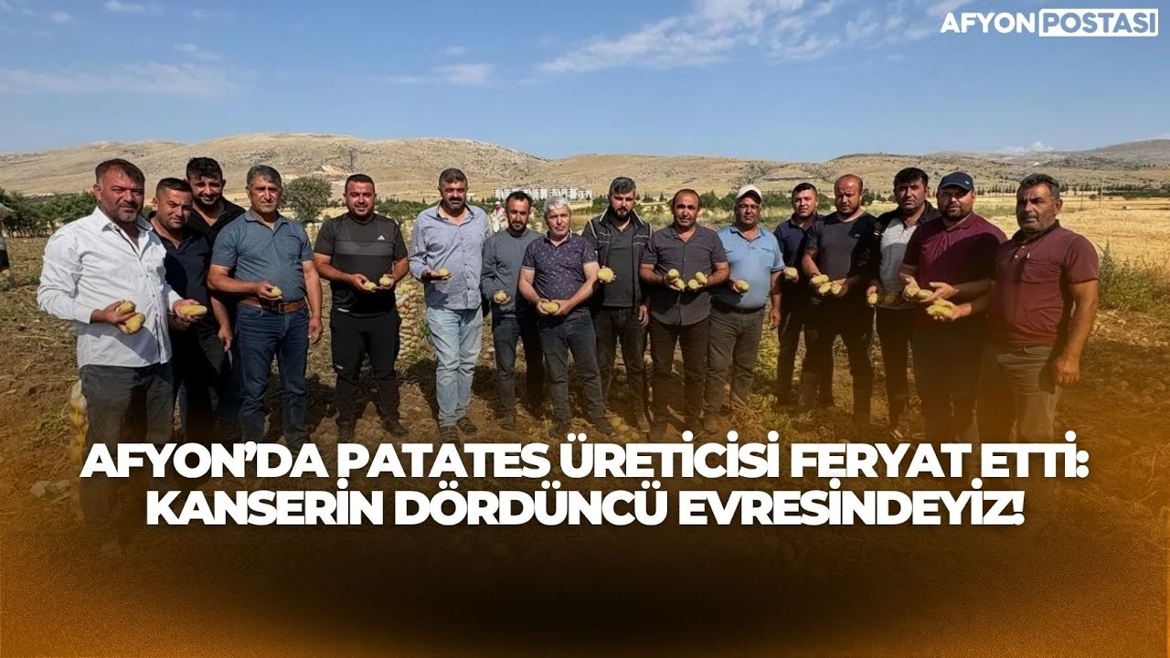 Afyon’da patates üreticisi feryat etti: Kanserin dördüncü evresindeyiz!
