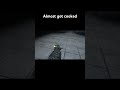 Almost got cooked#shorts #viralshorts #vr #scarybaboon