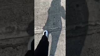 Kay 50s Na: Daily Jog/Brisk Walking #Kay50sNa #RoadToGold #F1Hat #F1 #GoldenYears #MommyMalouClicks