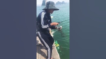 câu cá tráp ở Vân Đồn