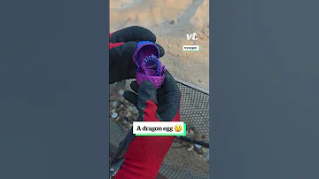 We Found A Dragon Egg At The Beach 