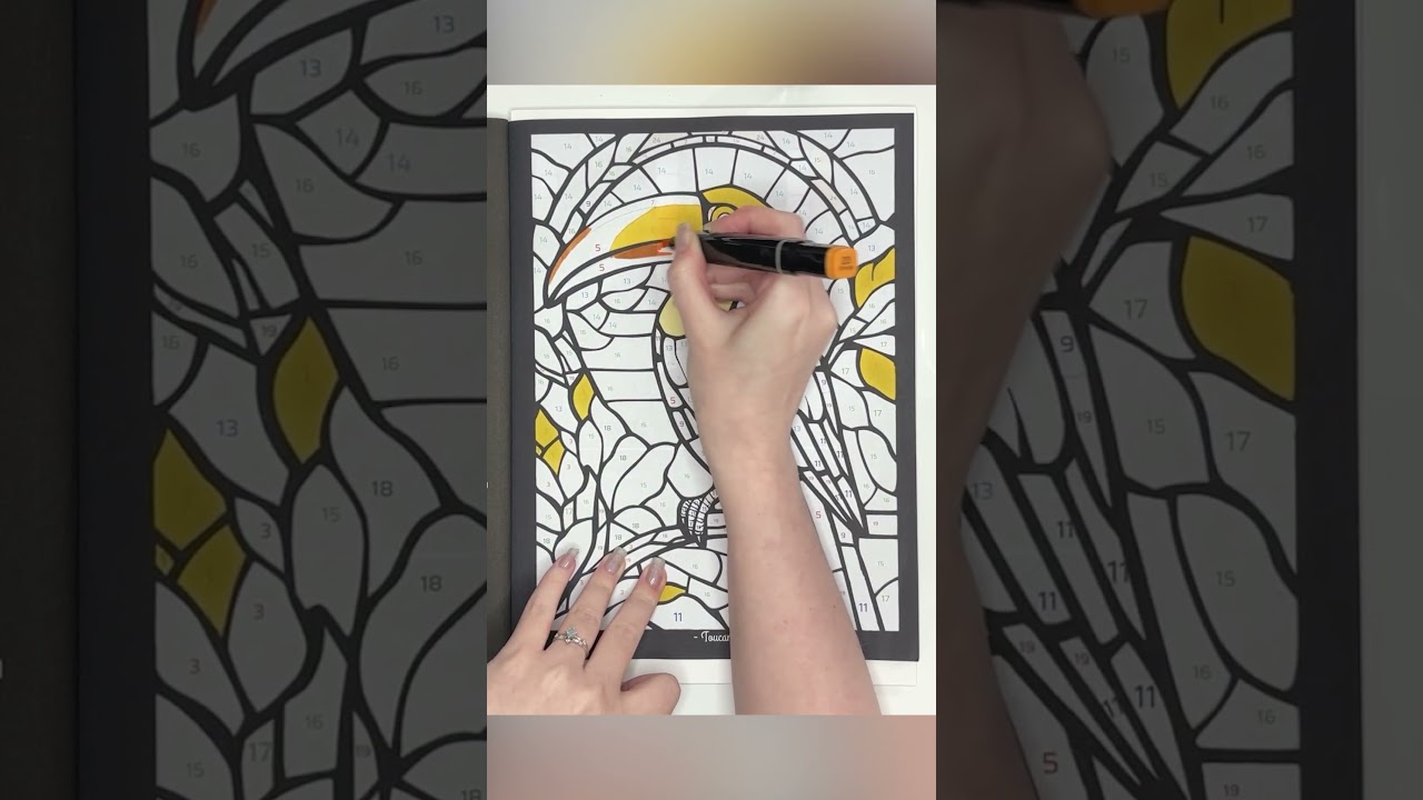 ASMR 🦜 Colour with me Stained Glass - Animals 🦜Page 1 with Tongfushop Alcohol markers 🦜Adam Davis 🦜