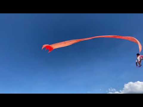 2020 Taiwan kite kids，Taiwan No 1!!