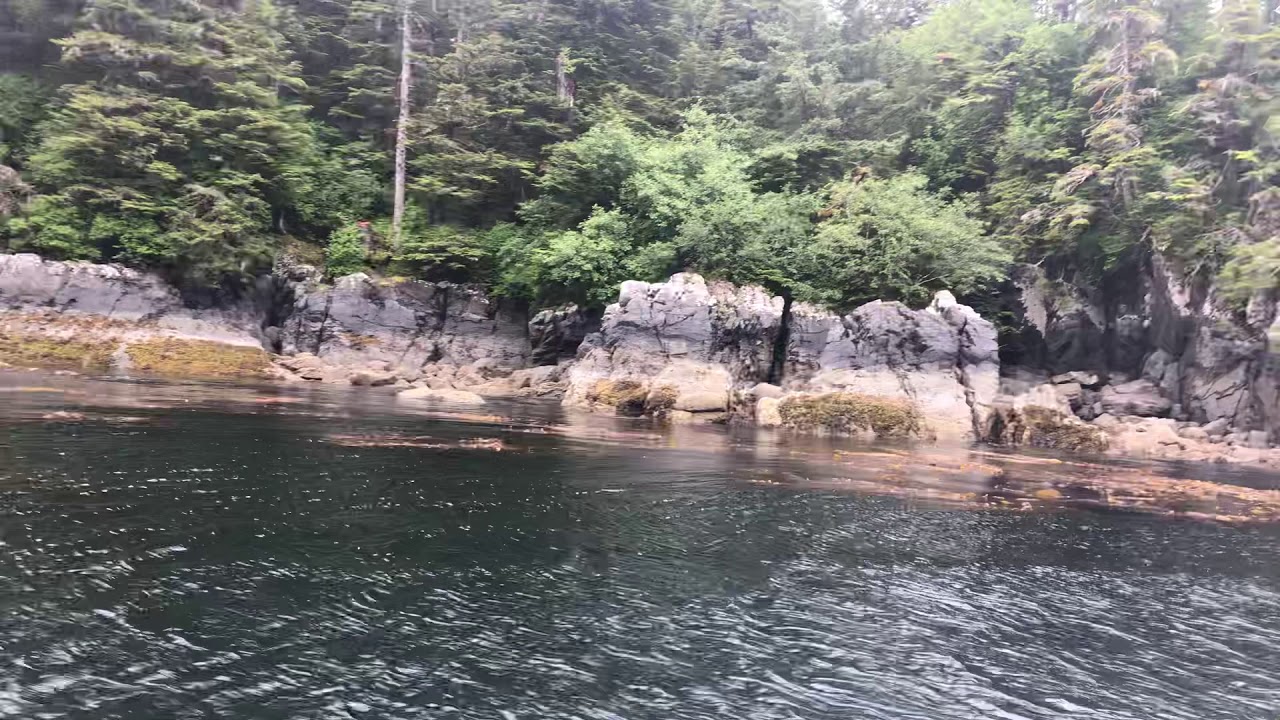 BEAUTIFUL Pirate’s 🏴‍☠️ Cove in Sitka, Alaska 🌲🌊 YouTube