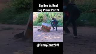 Big Box Vs Real Dog Prank Part 9  || BY @FunnyZone20M ||  #shortvideos