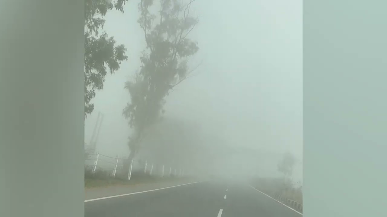 Dense Fog in Punjab