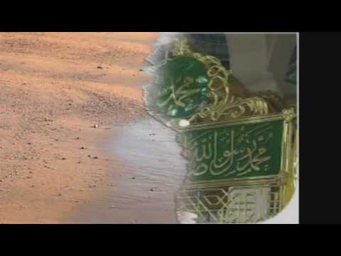 روضة الهادي نبينا