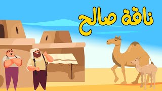 روائع القصص ذو القرنين وسيدنا داوود وسليمان وسيدنا صالح وسيدنا إبراهيم وزوجتيه وسيدنا العزير