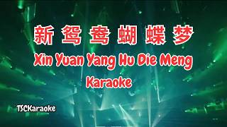 Xin Yuan Yang Hu Die Meng (Karaoke Dj Remix Female) 新鴛鴦蝴蝶夢 - 葛漂亮