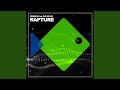 Rapture InstruDub mp3