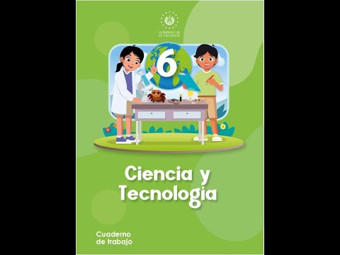 Conozcamos las reacciones