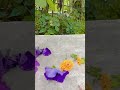 resin flowers 🌼#shorts #youtubeshorts #shortsfeed #viralcraft #viralvideo #flowers #dryflowers #diy