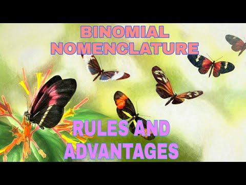 BINOMIAL NOMENCLATURE/ADVANTAGES AND IT&rsquo;S RULES / CLASS 11