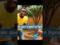 Tu vas rire🤣😂 #comedie #viral #humour #afrique